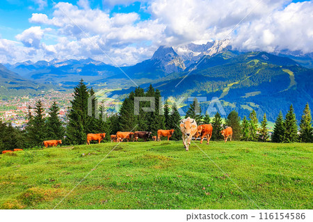 Garmisch-partenkirchen town aerial panoramic view, Germany 116154586