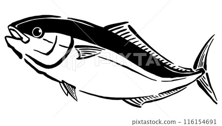 Hand-drawn line drawing of a yellowtail 116154691
