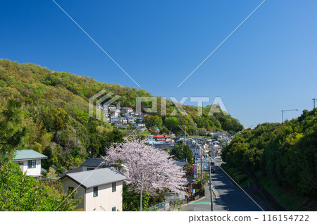 Spring scenery in Tsurumaki: Spring in the countryside Spring scenery in Tsurumaki: Spring in the countryside 116154722