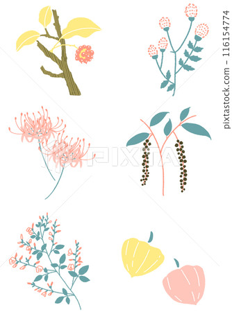 August and September Japanese plants set Illustration material of plants 116154774