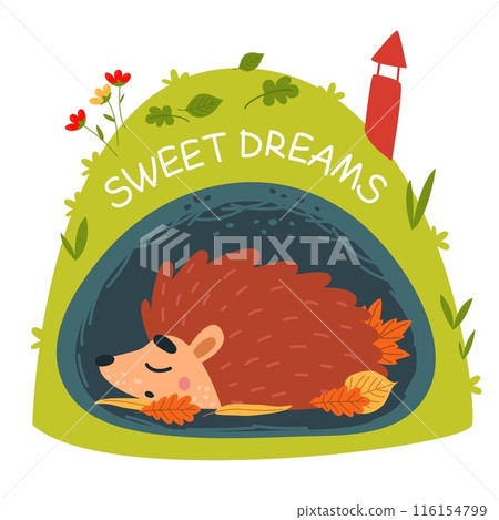 Hedgehog card. Cute wild forest animal sleep in hole underground. Abstract natural home, autumn cozy atmosphere classy vector print for clothes 116154799