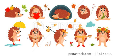 Forest autumn hedgehogs. Funny cartoon hedgehog walking sleeping and drink tea. Warm cozy animal at fall knitting and dry mushrooms, classy vector set 116154800