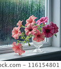 Image of a windowsill with flowers and a vase on the window, with rain falling outside 116154801