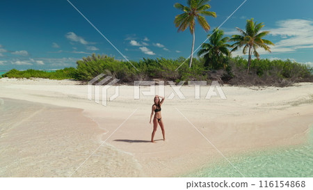 Happy woman in black bikini waving hands on sandy beach tropical exotic island. Caucasian pretty female enjoy outdoor lifestyle travel on summer holiday vacation. Palm trees, crystal water, top view 116154868