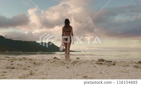 Woman with snorkeling mask walk in sea water at sunset sand beach under colorful sky. Tourist girl relax outdoor lifestyle travel summer holiday vacation. Low angle back view. Moorea, French Polynesia Woman with snorkeling mask walk in sea water at sunset sand beach under colorful sky. Tourist girl relax outdoor lifestyle travel summer holiday vacation. Low angle back view. Moorea, French Polynesia 116154885
