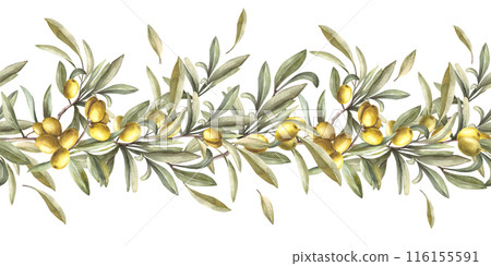 Olive tree branch with green leaves and berries, stone fruits. Watercolor seamless border, pattern. Hand painted illustration. Food floral clipart for oil label, summer print on isolated background. 116155591