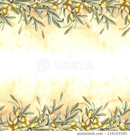 Olive branch with fruit berries and green leaves. Botanical floral seamless banner, frame on watercolor yellow splashes, stains background. Hand drawn isolated illustration for oil, cosmetic label. Olive branch with fruit berries and green leaves. Botanical floral seamless banner, frame on watercolor yellow splashes, stains background. Hand drawn isolated illustration for oil, cosmetic label. 116155595