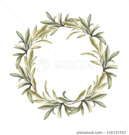 Olive branch, fruitless with green leaves. Watercolor wreath Botanical laurel leaf round composition. Hand drawn illustration for floral label, greeting card, wedding invitation on isolated background Olive branch, fruitless with green leaves. Watercolor wreath Botanical laurel leaf round composition. Hand drawn illustration for floral label, greeting card, wedding invitation on isolated background 116155597