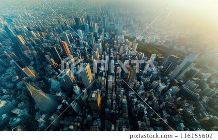 從空中看過去的城市景觀 116155602
