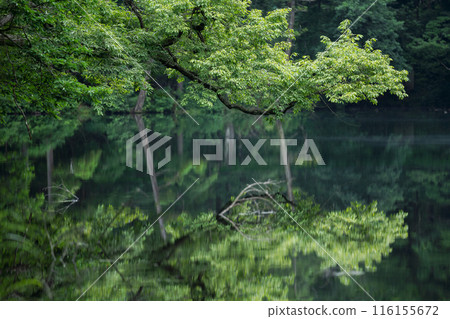 陰天的龍久保 116155672