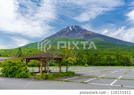 Mizugazuka Park in summer, fresh greenery, Mt. Fuji 116155912