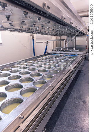 Stainless steel cheese making machine Stainless steel cheese making machine 116155960