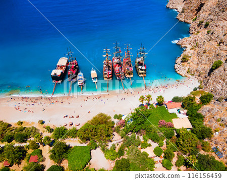 Butterfly Beach aerial panoramic view in Turkey 116156459