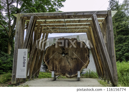 Meise Botanical Garden in Belgium. Woodlab, wood laboratory 116156774