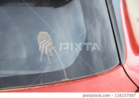 dirty bird shit stain on car glass from using in daily life, stain for cleaning concept. dirty bird shit stain on car glass from using in daily life, stain for cleaning concept. 116157087