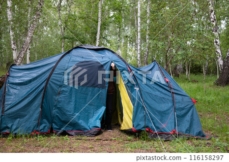 A woman sets up a tent in the forest A woman sets up a tent in the forest 116158297