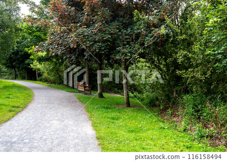 Riverside Country Footpath with Trees and Wooden Bench Seating on a Summer Morning Riverside Country Footpath with Trees and Wooden Bench Seating on a Summer Morning 116158494