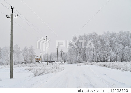 Power lines in the winter forest.Power lines in the winter forest. Power outages due to severe frost. Abnormal weather. Power lines in the winter forest.Power lines in the winter forest. Power outages due to severe frost. Abnormal weather. 116158500