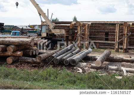 Timber Harvesting For Lumber Industry Or Wooden Housing Construction Concept. Large Woodpile From Sawn Debarked Pine Wood Logs 116158527