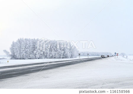 A snow-covered road in a winter forest. 116158566