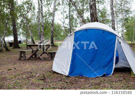A woman sets up a tent in the forest 116158580