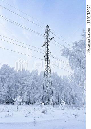Power line in sunny winter day Power line in sunny winter day 116158675