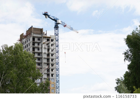 A construction crane on a blue sky background. 116158733