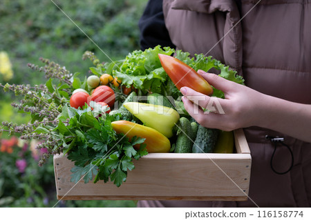 The older woman holds a box of vegetables 116158774