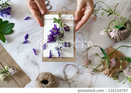 Closeup of hands of young woman florist creating invitation, put in envelope blossom flowers, top view. Macro. Isolated on white background. With free space for your text Closeup of hands of young woman florist creating invitation, put in envelope blossom flowers, top view. Macro. Isolated on white background. With free space for your text 116158797