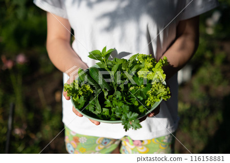 Woman holding plate with tasty arugula salad, closeup 116158881