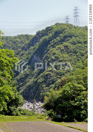 View of the mountain side near the entrance to the abandoned Fukuchiyama Line track 116158966