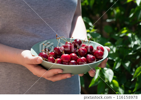 Cherry on decor plate on blue background. Ripe ripe cherries. Sweet red cherries. Fruit Background 116158978