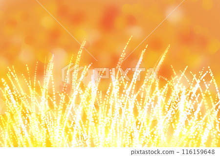 Silver grass field and sunset card 1 116159648