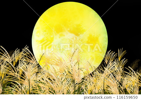 Silver grass field and full moon card 2 116159650