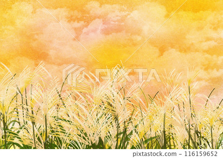 潘帕斯草原和日落卡 3 116159652