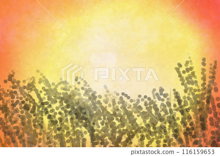 潘帕斯草原和日落卡 4 116159653