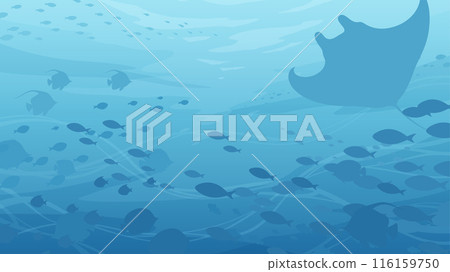 Background of a school of fish swimming in the ocean_16:9 116159750