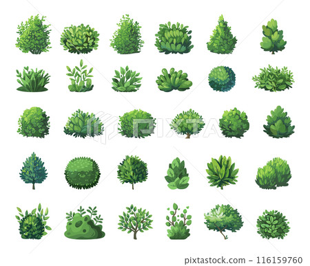 Cartoon Different Green Bushes Icon Set. White Background Simple Style Foliage Illustrations Garden Plants Collection Nature Elements Shrubs Vegetation Outdoor Greenery Clipart Cartoon Different Green Bushes Icon Set. White Background Simple Style Foliage Illustrations Garden Plants Collection Nature Elements Shrubs Vegetation Outdoor Greenery Clipart 116159760
