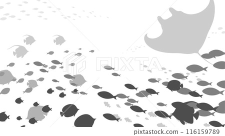 Background of a school of fish swimming in the ocean_Silhouette_16:9 Background of a school of fish swimming in the ocean_Silhouette_16:9 116159789