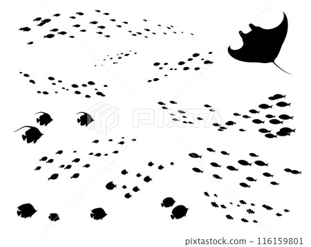 Set of silhouettes of a school of fish swimming in the sea 116159801