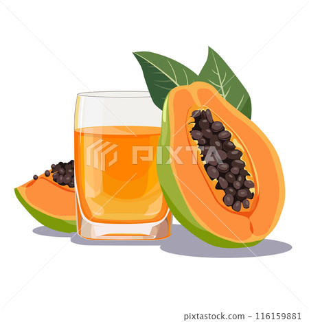 Full glass of orange freshly squeezed papaya juice. Isolated vector summer drink for flat design 116159881