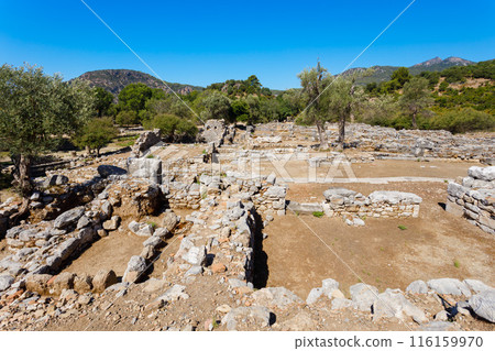 Kaunos ancient city near Dalyan town in Turkey 116159970