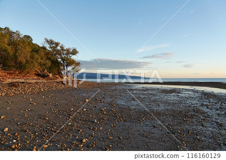 Coastal landscape in New Zealand 116160129