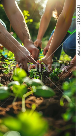 In a joint initiative, neighbors come together to create a community garden, through shared labor and passion for gardening, they transform a space into a thriving hub of greenery , do it together 116160132