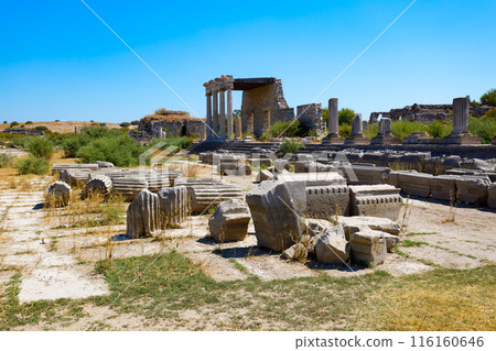 Miletus Archaeological Site near Didim city in Turkey Miletus Archaeological Site near Didim city in Turkey 116160646