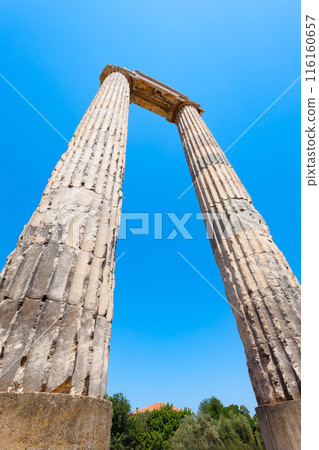 Temple of Apollo ruins at Didyma ancient sanctuary in Didim city in Turkey 116160657