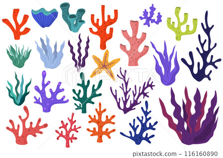 Ocean or sea coral reefs and seaweed collection isolated on white background. 116160890