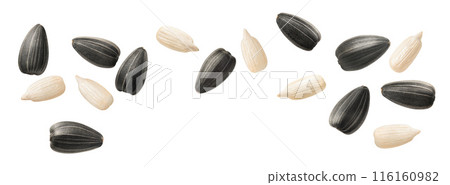 Separate sunflower seeds set isolated on white background. Peeled and unpeeled 116160982