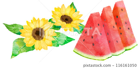 Hand-drawn illustration of sunflowers and watermelons Sunflowers and watermelons 116161050