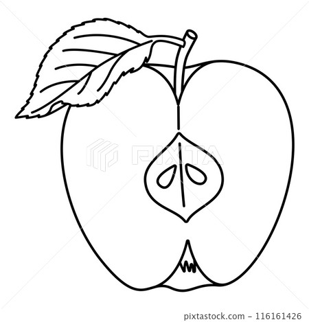 Cut Apple with a leaf doodle style coloring book. Hand drawn fruit coloring book. 116161426